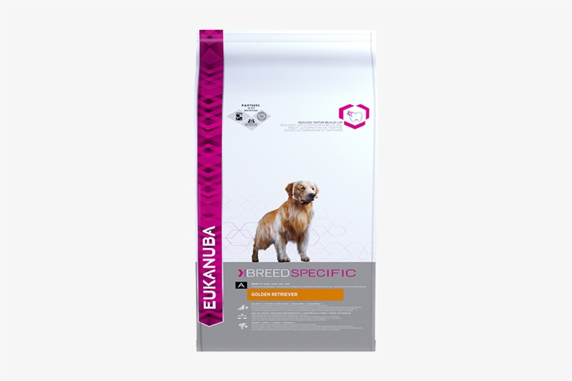 Eukanuba™ Golden Retriever - Eukanuba West Highland White Terrier, transparent png #2834217