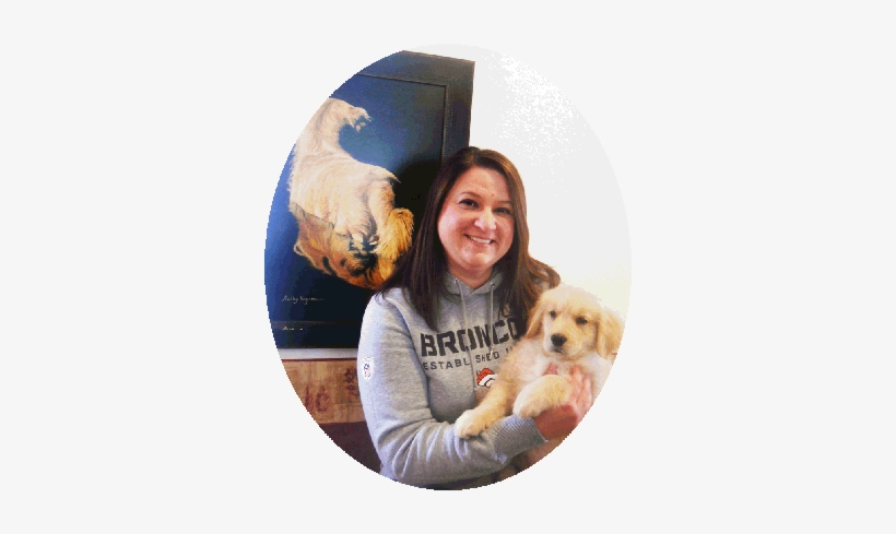 Golden Retriever Puppies - Companion Dog, transparent png #2834533
