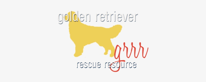 Golden Retriever, transparent png #2834558