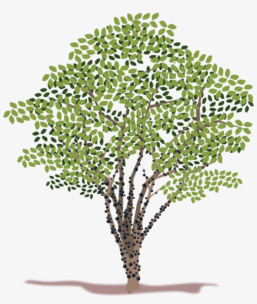 Spring Tree Vector Clipart - Tree, transparent png #2835069