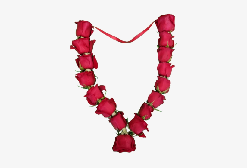 Roses - Red, transparent png #2835795