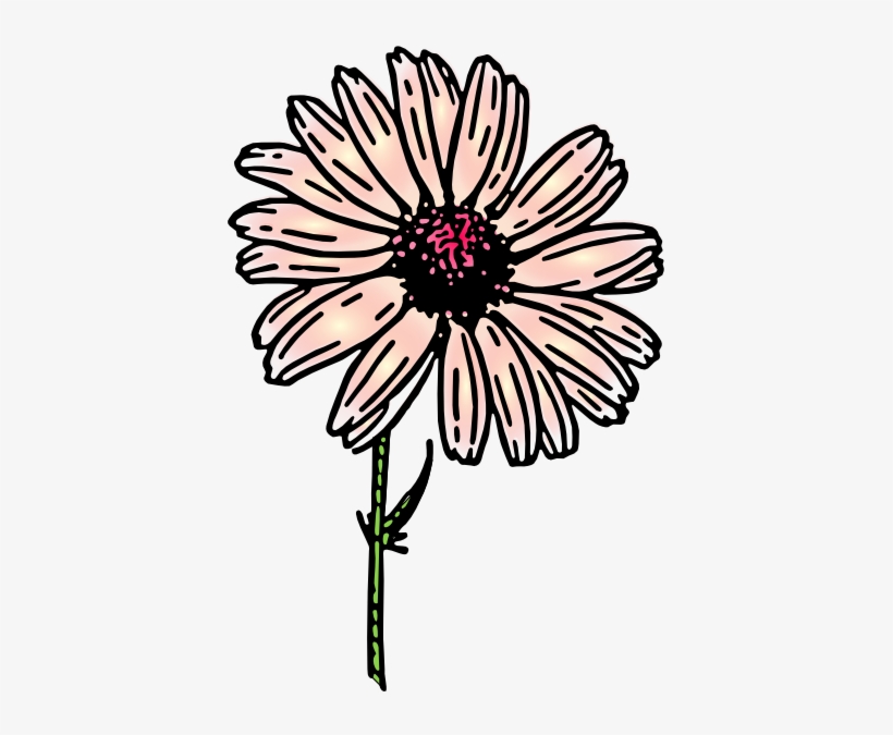 How To Set Use Light Pink Daisy Clipart - Das Vintage Gänseblümchen Danken Ihnen Notecard Karte, transparent png #2836257