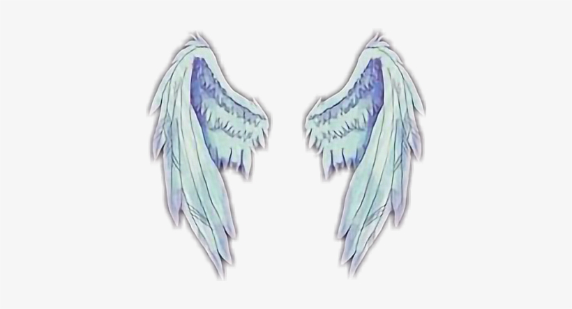 Patch Cipriano Travis Maddox, transparent png #2836312