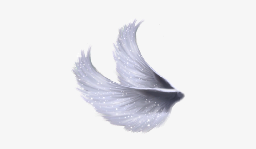 Transparent Angel Wings Tumblr Wings Png Wings Png - Wings Image Png Transparent, transparent png #2836411