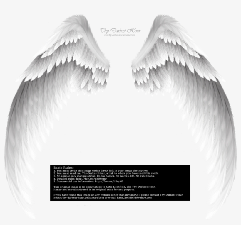 White Angel Wings - Transparent Background Wings Png, transparent png #2836508