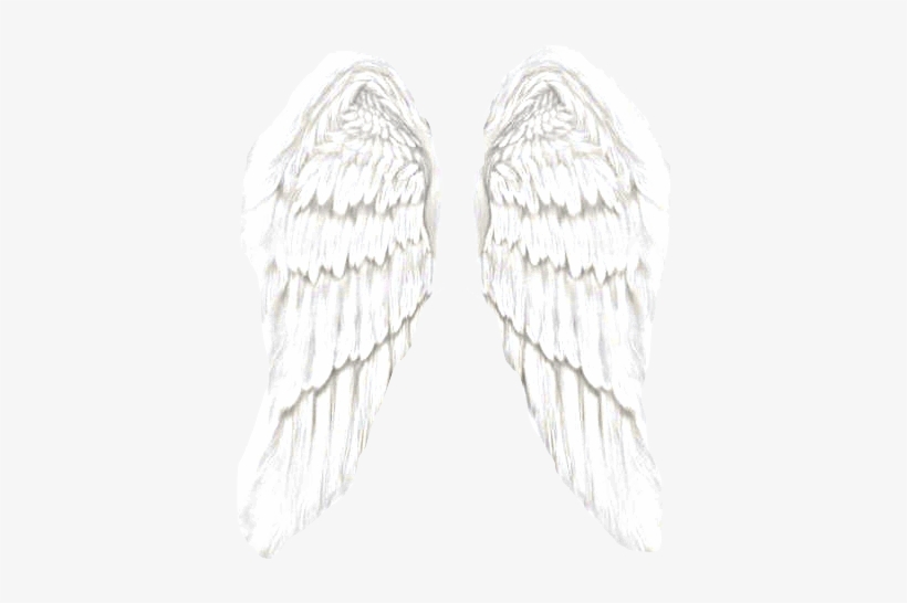 Angel Wings Transparent Tumblr - Angel Wings, transparent png #2836645