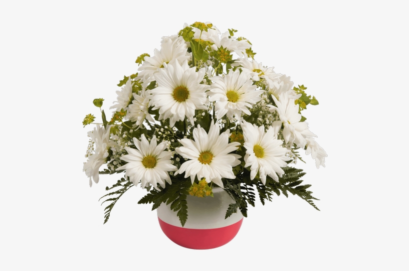 Daisy Bowl, Pink - Bowl, transparent png #2836667