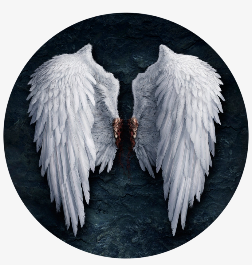 White Angel Wings Transparent - Realistic Angel Wing Drawing, transparent png #2836689