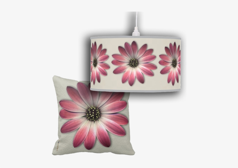 Daisy Flower Power Is A Feminine Modern Collection, - Common Daisy, transparent png #2836718