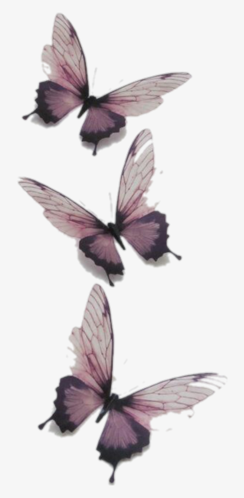 Butterfly Butterflies Vintage Transparent Tumblr Png - Tattoo, transparent png #2836784