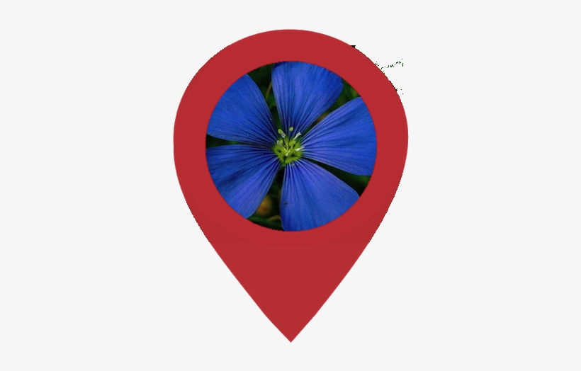 Edit Image Into Circle Shape And Insert Into Another - Flower, transparent png #2836952