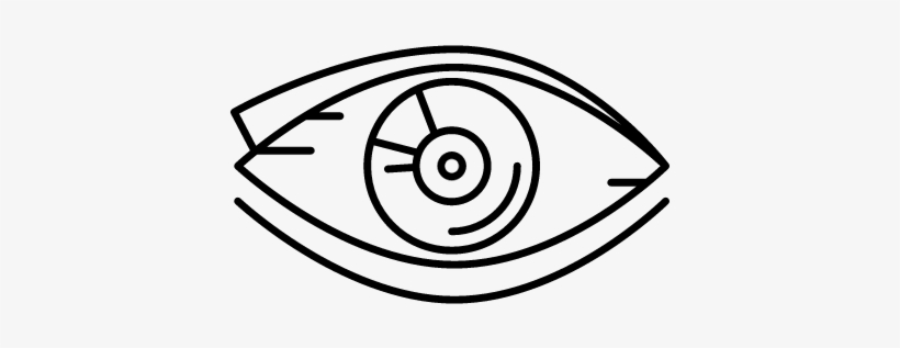 Human Eye Vector - Human Body, transparent png #2837048