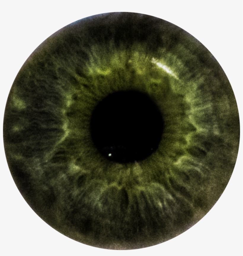 Pin Eye Care Specialists On Interesting Eye Pics Pinterest - Iris, transparent png #2837253