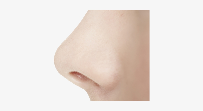 Human Nose Png - Nose Transparent, transparent png #2837924