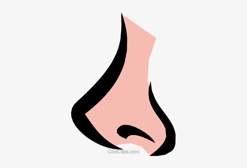 Nose Royalty Free Vector Clip Art Illustration - Nariz Vetor Png, transparent png #2838033