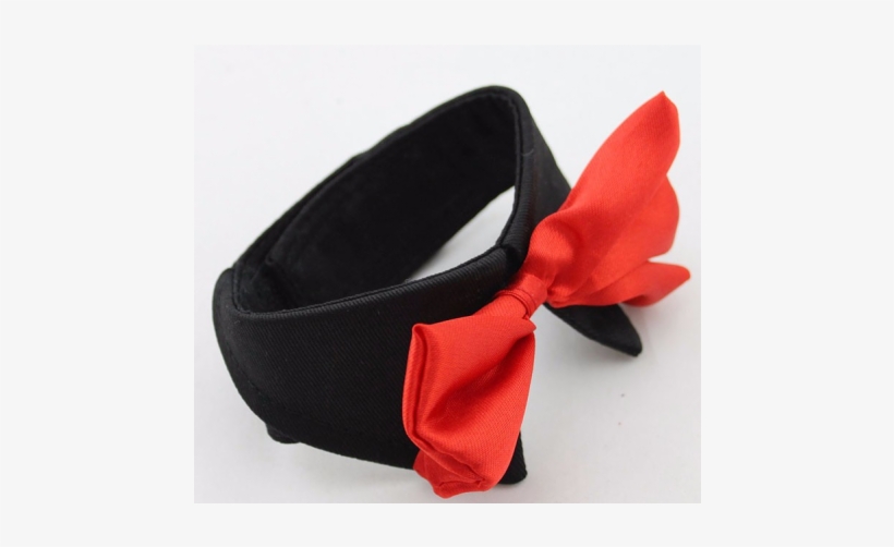 Dog, transparent png #2838234