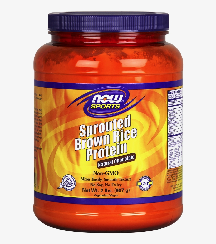 Sprouted Brown Rice Protein, Chocolate Powder - Now Foods - Sprouted Brown Rice Protein Natural Chocolate, transparent png #2839009