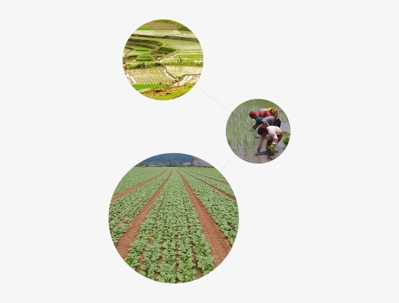 Continue Reading - Circle, transparent png #2839970