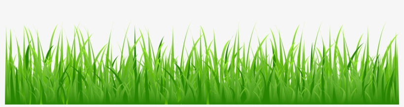 Cartoon Grass Png, transparent png #2840039