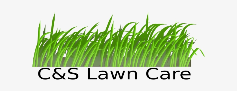 C S Lawn Care Hi - Free Cartoon Grass, transparent png #2840398