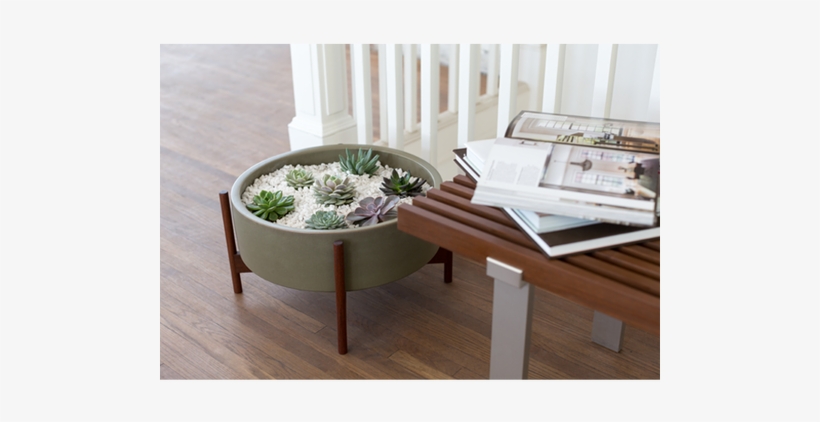 Case Study Raised Low Pan With Wood Stand - Coffee Table, transparent png #2841015