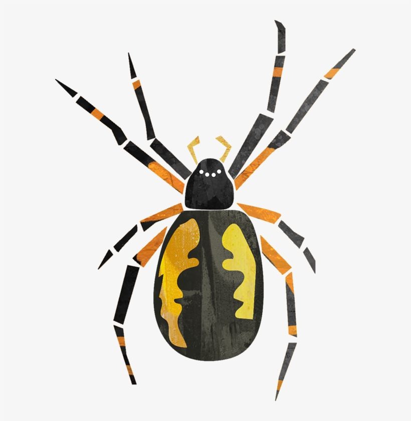 Returning This Summer - Araneus Cavaticus, transparent png #2841351