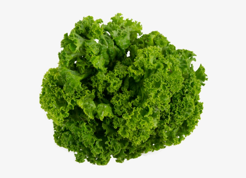 Lettuce Transparent Png Image - Collard Greens Transparent Background, transparent png #2841942