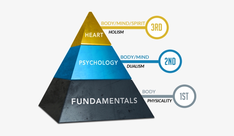To Learn More About 3d Coaching And Take Advantage - 3d Coaching, transparent png #2841992