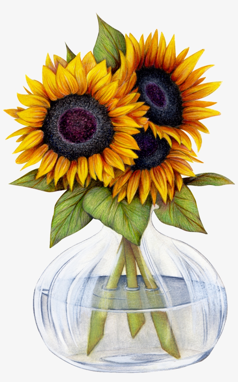 Beautiful Sunflower Flower Png Transparent - Want To Be Like A Sunflower, transparent png #2842051