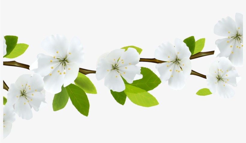 Spring Flowers Branches Transparent Png Stickpng - Flower Png Clipart, transparent png #2842223