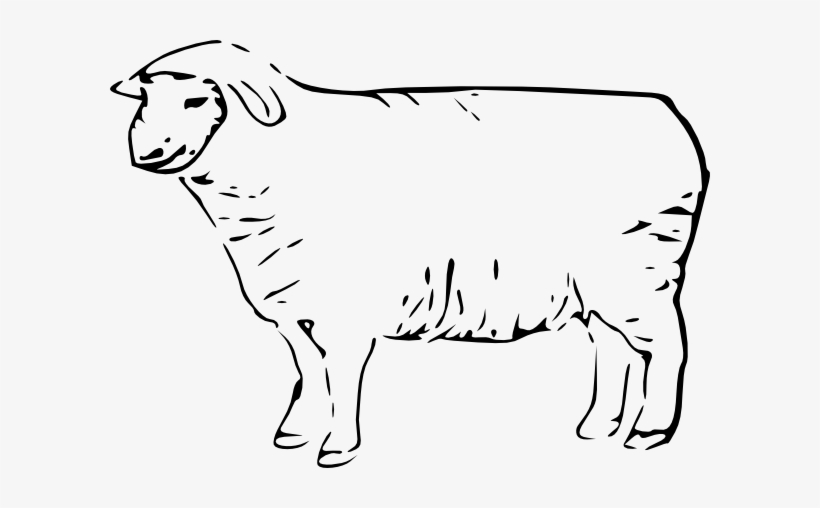 Single Sheep Clip Art Free Vector / 4vector - Sheep Clip Art, transparent png #2842394