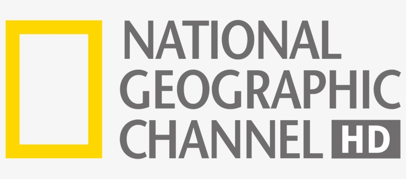 National Geographic Channel Logo Download  AI  All Vector Logo