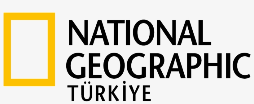 National Geographic Türkiye Logo - National Geographic Polska Logo, transparent png #2842541