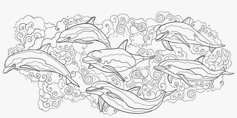 "dolphins" Inside Cover And First Page Spread - Coloring Book, transparent png #2842816