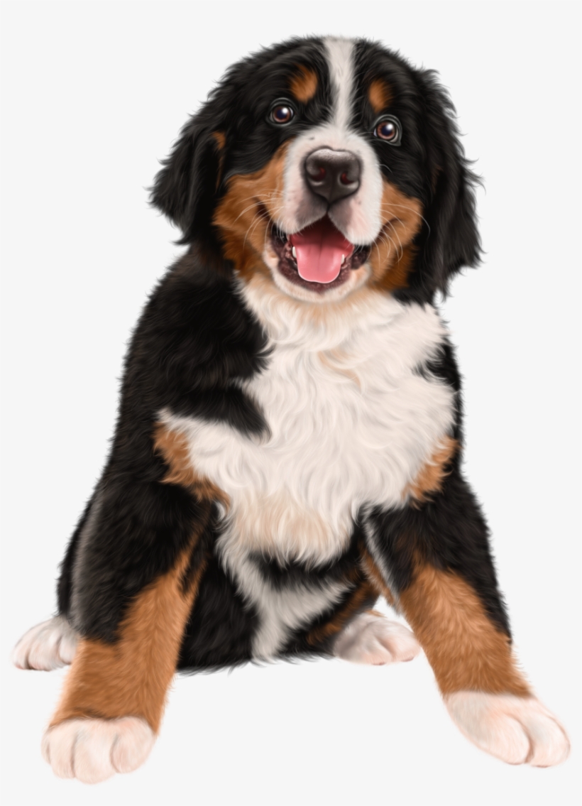 Golden Retriever Png Clipart Background - Dog Transparent, transparent png #2843229