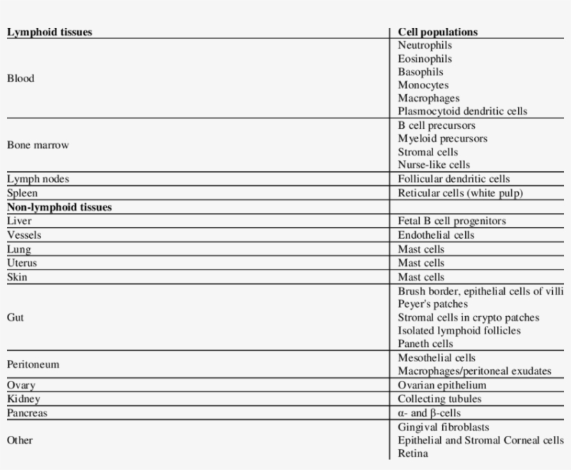 Schematic Distribution Of Cd157 In Tissues - Document, transparent png #2844411