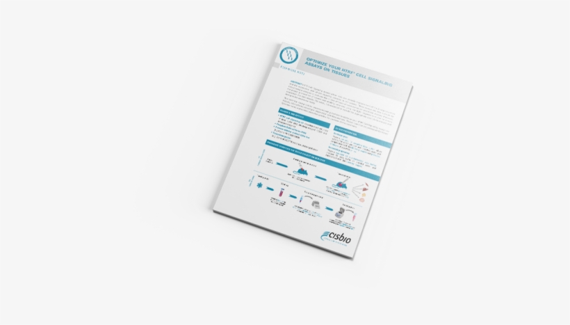 Download - Display Device, transparent png #2844446