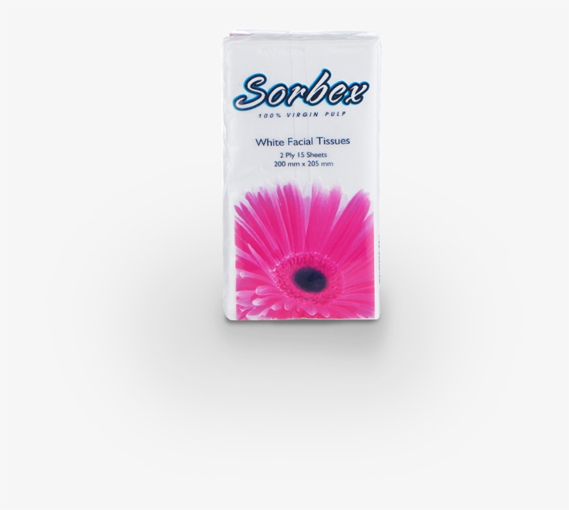 Purple Coneflower, transparent png #2844483