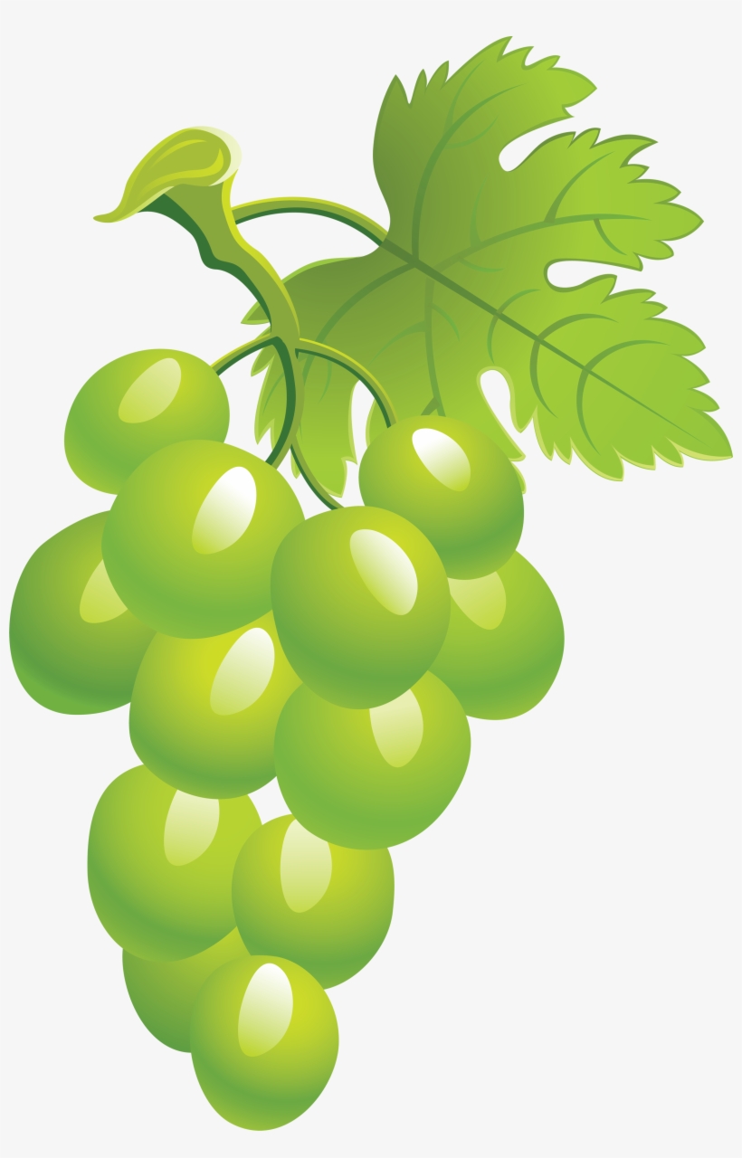 Grapes Clipart Green Grape Picture Png Image - Grape, transparent png #2844994