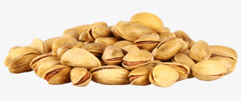 free png pistachio png images transparent dry fruit png free transparent png download pngkey free png pistachio png images