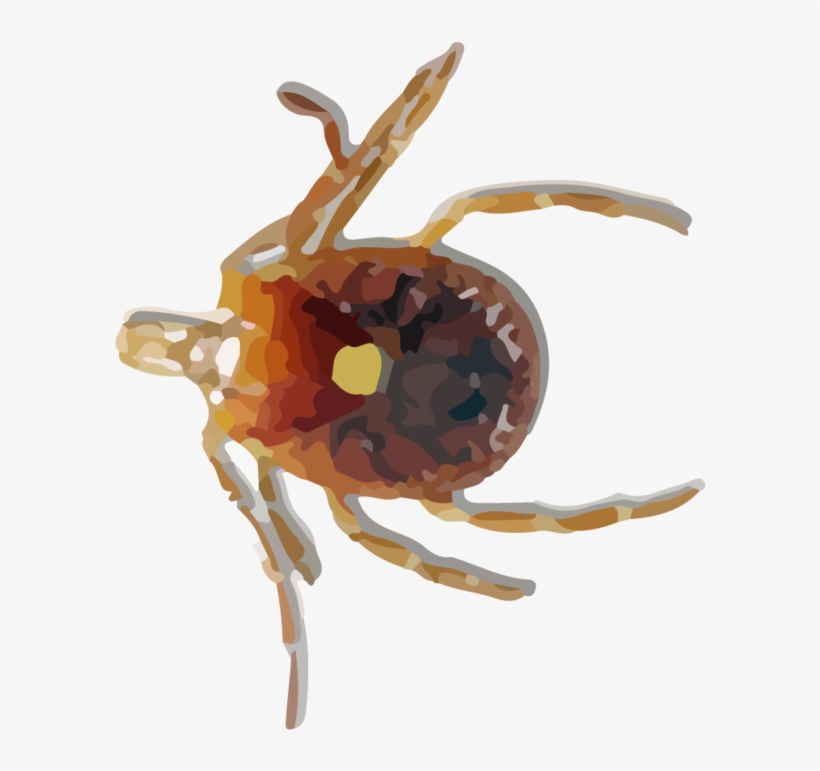 Hr Fleas Ticks - Hgrmt Azkkvi Mosquito Medicated Relief Gel Wipe Away, transparent png #2845581