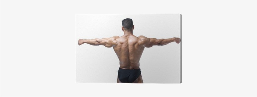 Back, Shoulders And Arms Of Muscular Bodybuilder Canvas - Hombre Musculoso De Espalda, transparent png #2846663
