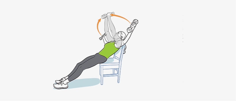 Chest Flye - Thorax, transparent png #2846968