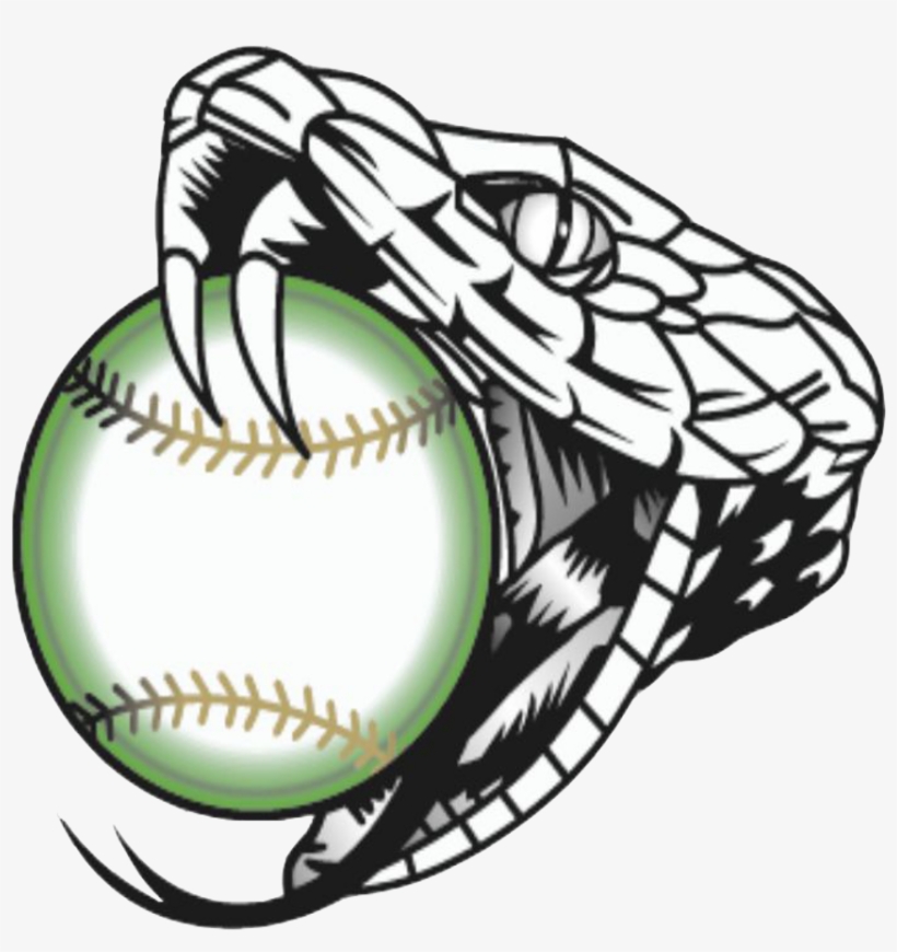 Vipers Fastpitch Provides Several Softball Programs - Rattlesnake Black And White, transparent png #2847041