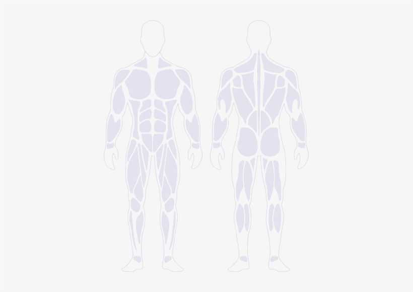 Muscle Groups - Jumping Jack, transparent png #2847114