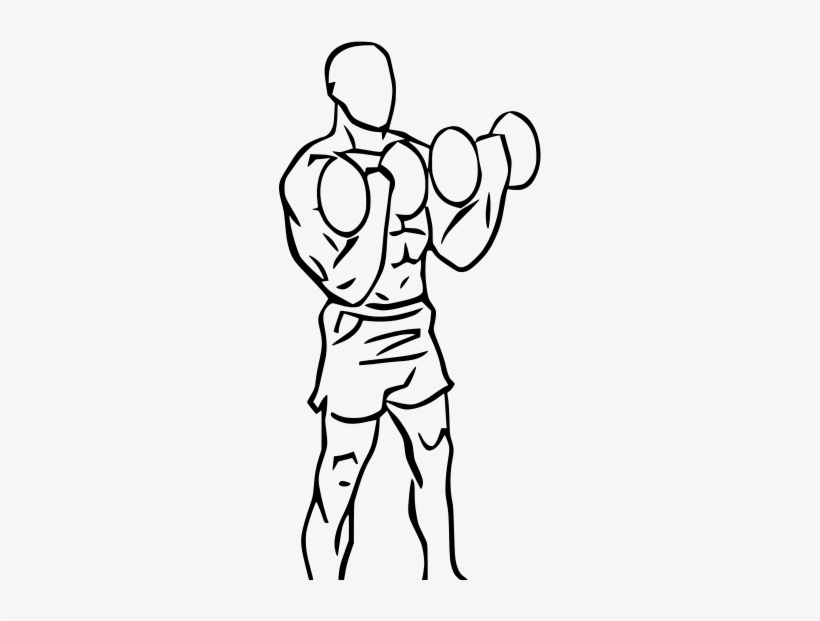 Everkinetic Curls - Bicep Curl Dumbbells, transparent png #2847115