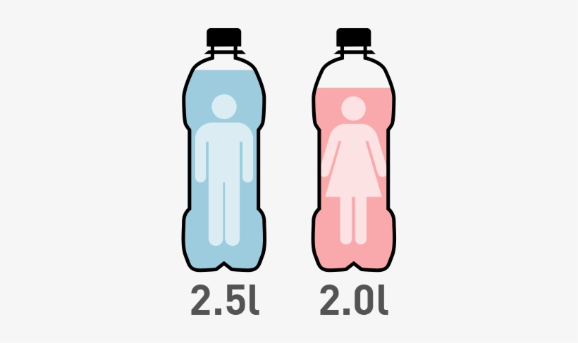 Special Concerns For The Elderly Regarding Hydration - Hidratacion En Las Personas, transparent png #2847483