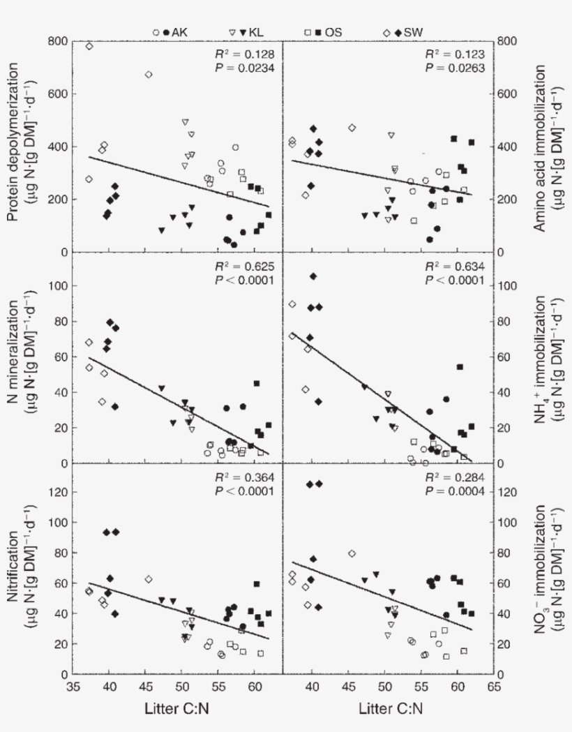 Relationships Between Litter C - Harvest, transparent png #2847961