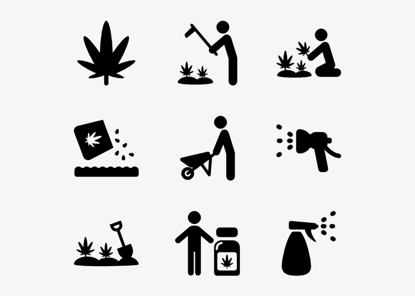 Marijuana - Growing Marijuana For Beginners: Cannabis Growguide, transparent png #2848117