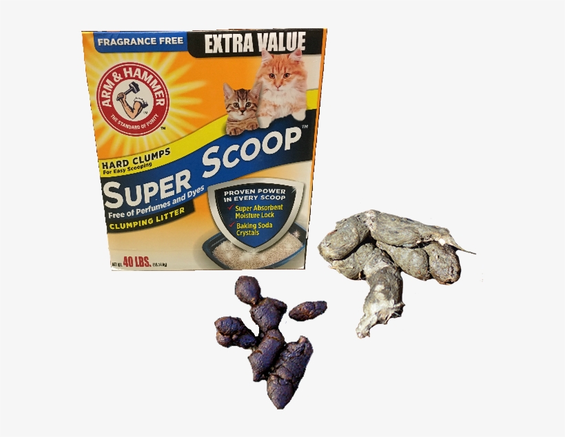 Photo By - - Arm And Hammer, transparent png #2848513